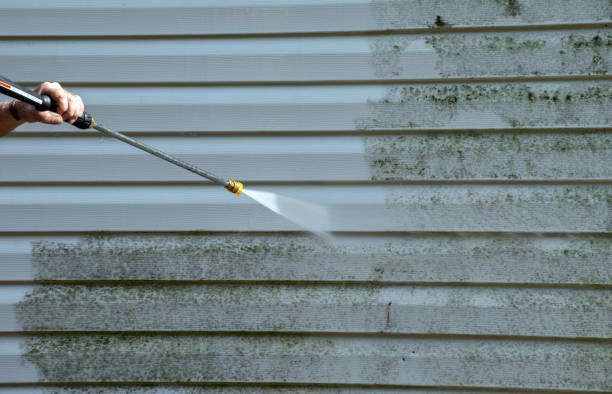 Best Roof Washing  in Meadow Oaks, FL